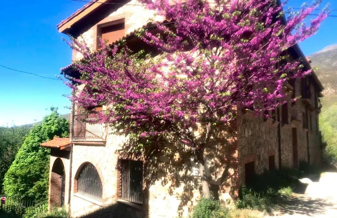 La Almazara Del Guijo-1